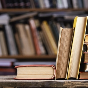 Online il sito della biblioteca del Buonarroti
