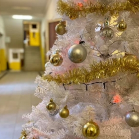 Gli auguri di Natale e buone feste del Dirigente scolastico